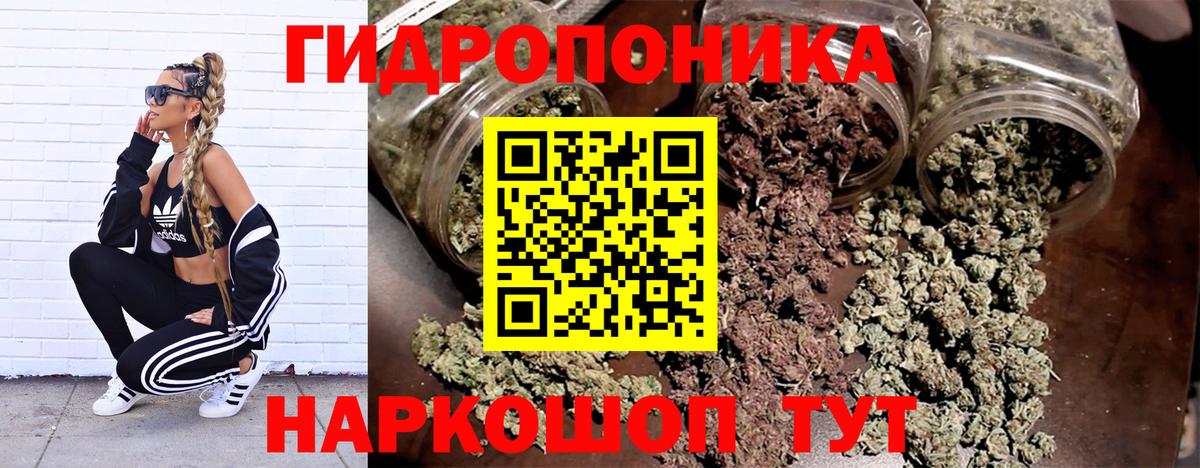 Бошки марихуана семена  Каннабис Bruce Banner  Вход с VPN  Бошки марихуана индика  Фурманов  МАРИХУАНА семена 